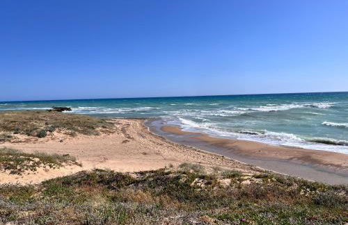 Brezza di mare - Foto 10