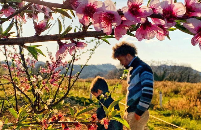 ChiaraLuce Country House - Foto 27