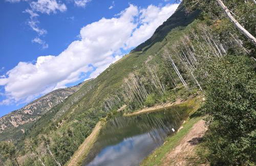 Camp Jackson Lodge - Foto 14