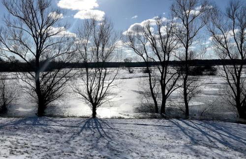 Fachwerk-Fischerhaus an Elbe und Aland - Foto 36