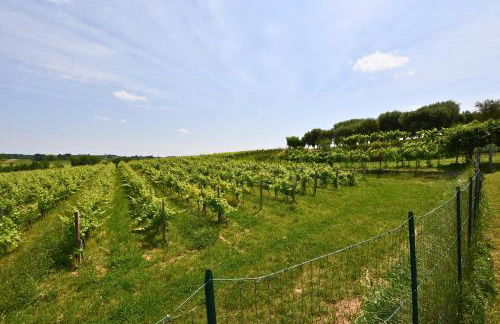 Melina's Wine Retreat - Foto 37