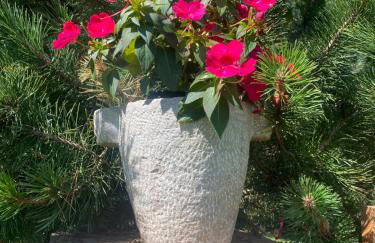 Alaska House Suite Bering - sauna and relax - Foto 36