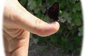 Marmot Apartment - Photo 30