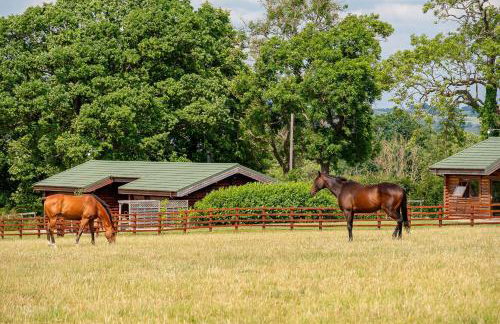 Hunters Lodge - Photo 20