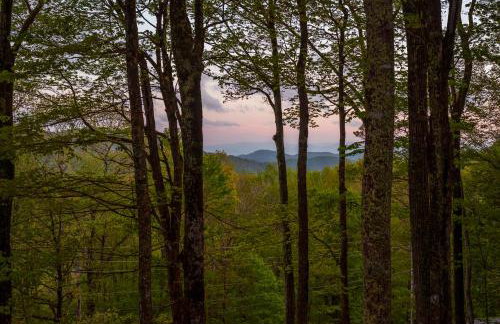 Asheville Private Retreat Game Room Hot Tub - Foto 62