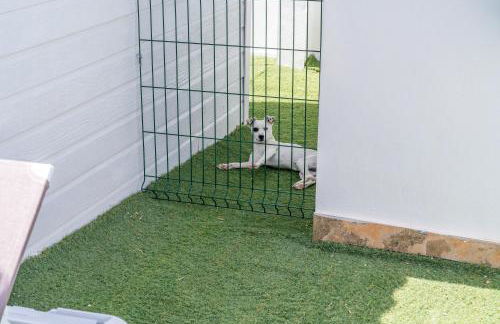 El Paraíso Perdido - Foto 19