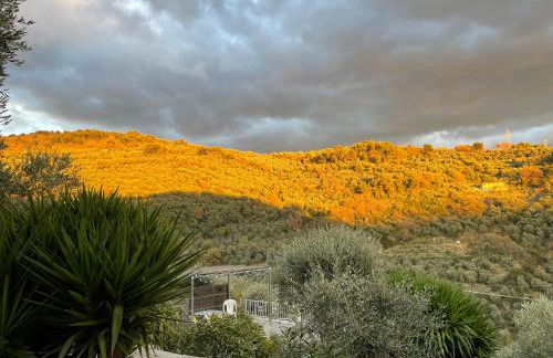 Piccola Navetta - Foto 25