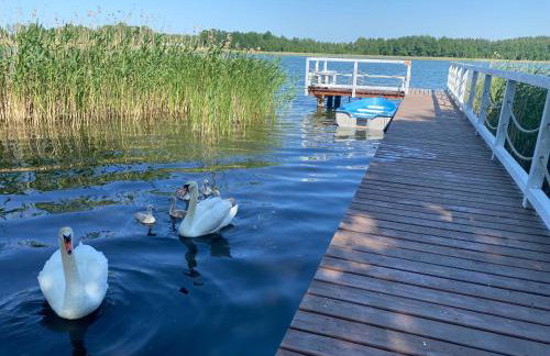Dom wypoczynkowy Sosenka - Foto 72