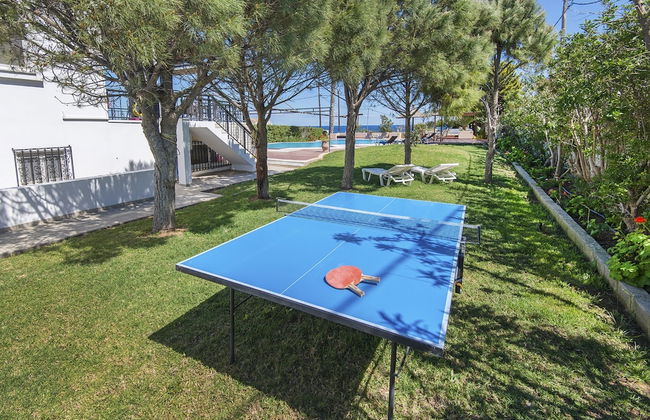 Alkyoni Villa - Foto 22