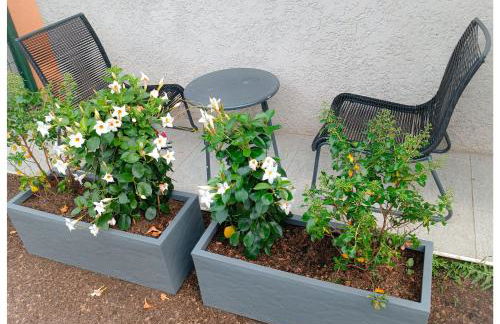 Studio Le Jardin - Foto 9