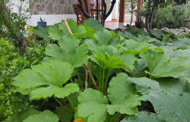 Holiday home Mennulita - Foto 45