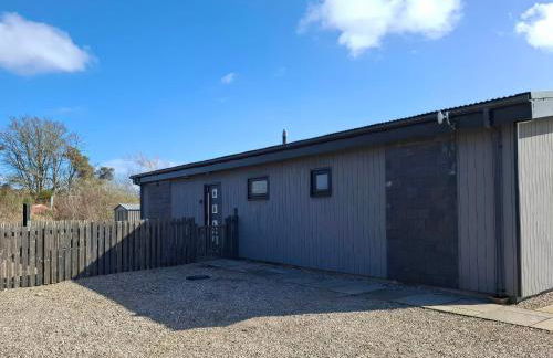 Red Squirrel - Photo 5