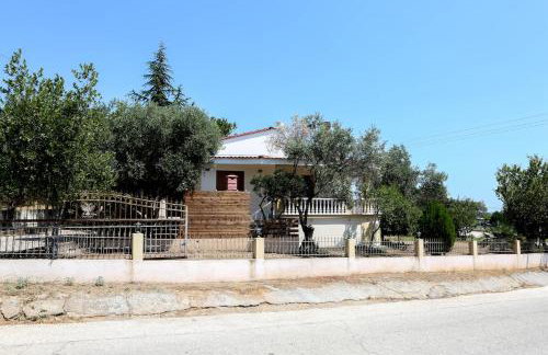 Village House - Photo 17