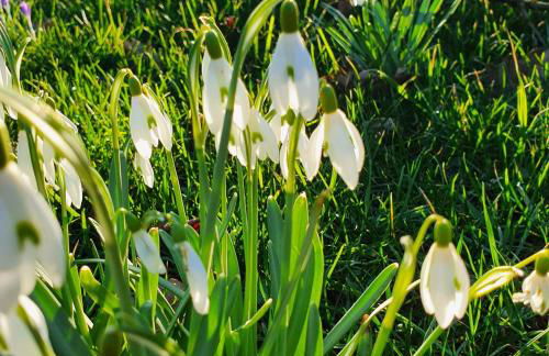 1Step2AllNature Tinyhouse - Foto 28