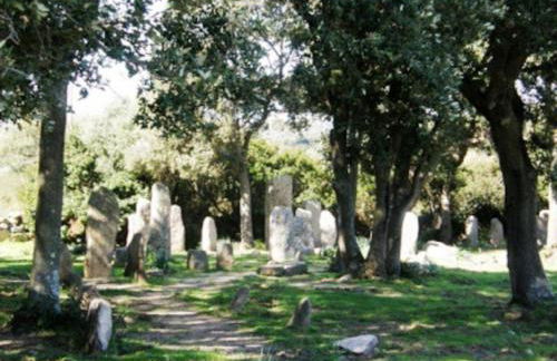 Appartement rénové tout confort 10mn de Campomoro - Foto 17