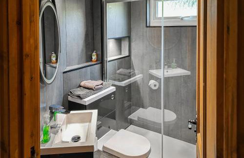 The Curious Stag - Foto 12