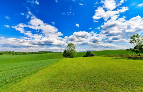 Cube Hills - Foto 59