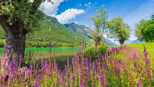 Casa Nicola - Petfriendly - Crone Beach - Foto 2