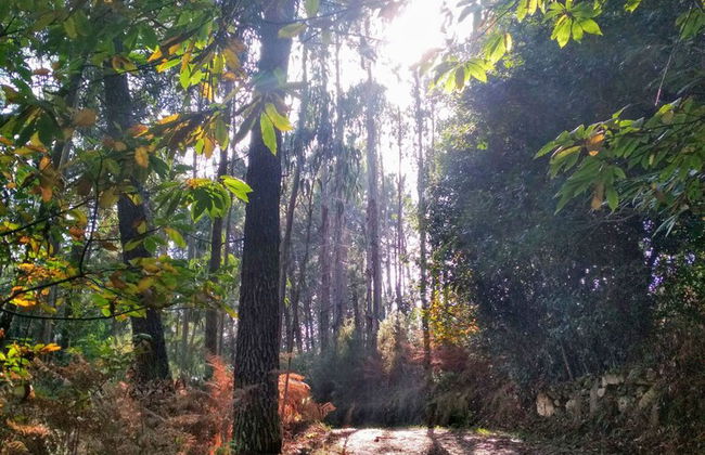 Casa de Verdes - In Cabana de Bergantinos - Photo 133