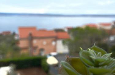 Apartmani Andiks Dramalj - Foto 39