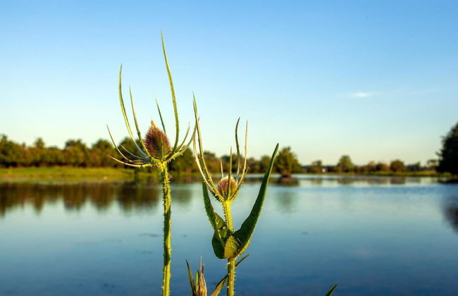 Charming Villa Near Maastricht and Hillside - Foto 6