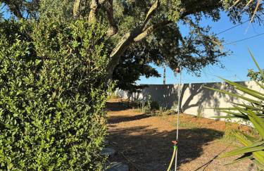 Casa dos Sobreiros - Foto 9