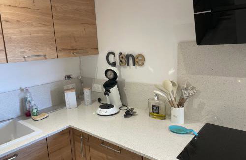 Rez de villa Peymeinade - Foto 11