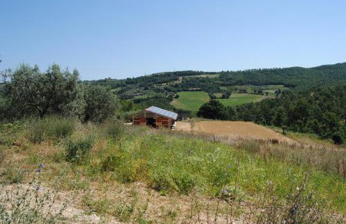 Sorelle Biologiche - Photo 45