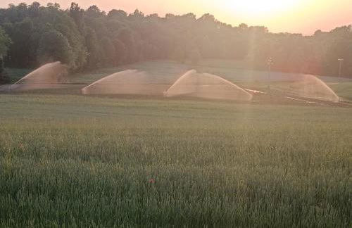 Corte Fattori - Foto 52