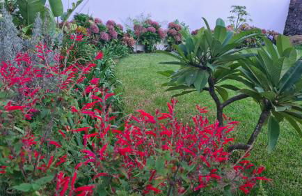 Magnolia Residence - central to explore the island - Photo 15