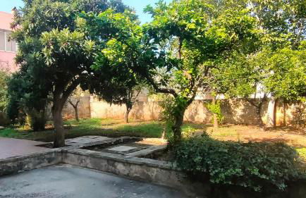 Villino XXIV Maggio da Mary - Foto 16