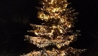 Agroturystyka Zdrowo przez sad - Foto 5