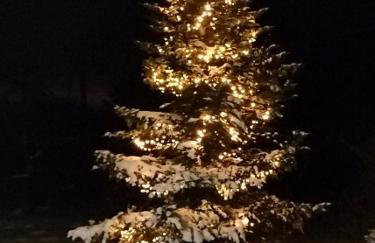 Agroturystyka Zdrowo przez sad - Foto 5