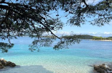 Apartments Tonći - Photo 13