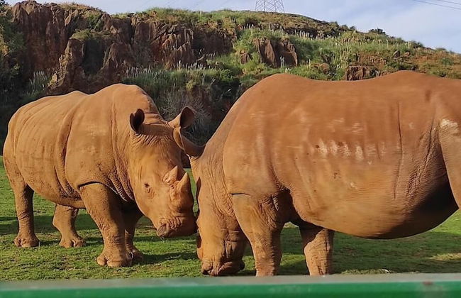 Apartamento Cervantes 601 - Foto 17