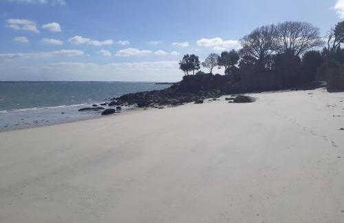 appartement bord de mer - Foto 21