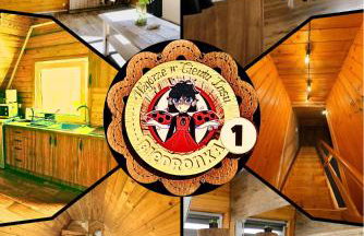 Wzgórze w Cieniu Lasu - Photo 60