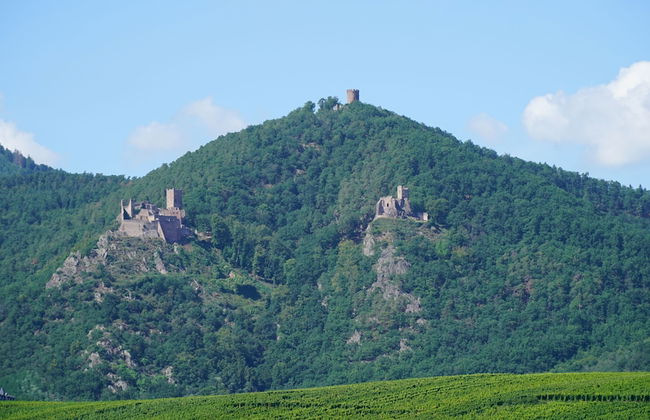 Maison d’hôtes Sainte Hune appartements et chambres - Photo 47