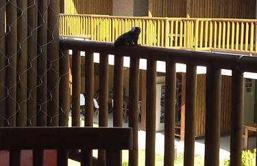 Residencial Itacimirim Summer Ville Casa 5D - Foto 13