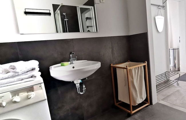 Yellow Palm - Foto 14