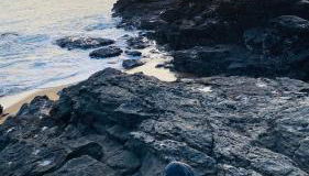 Chez Juliette countryside and sea near Pornic - Foto 5