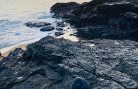 Chez Juliette countryside and sea near Pornic - Foto 5