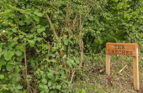 The Larches - Photo 29