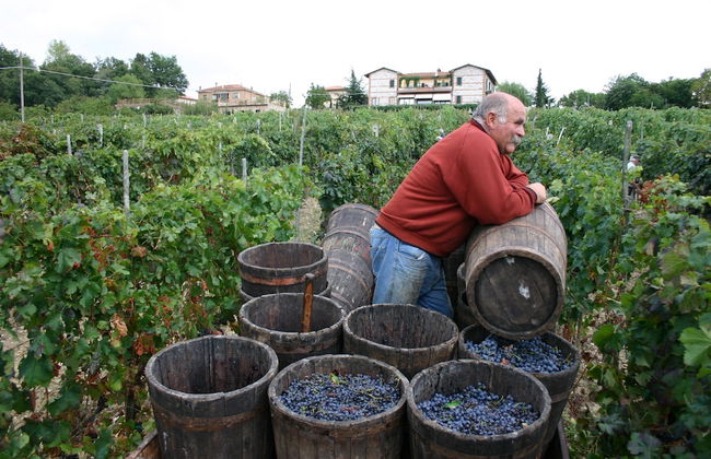 Agriturismo La Pietriccia - Foto 76