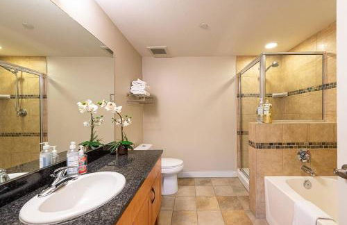 Ski-In / Ski-Out 1 Bedroom Condo base of WP Resort - Foto 16