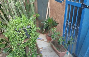 Casa do Arará - Photo 12