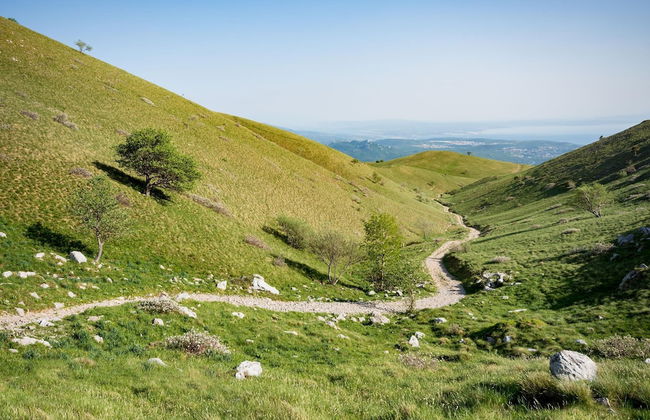 Cozy Home With Private Garden - Foto 18