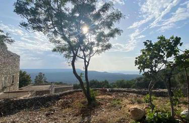 Λαγκάδι Μάνης - Foto 32