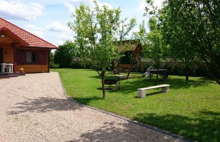 Czysta Dolina - Foto 8