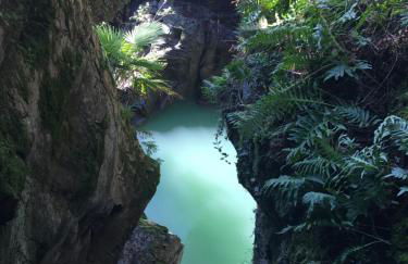 Riflessi di Lago - Foto 25